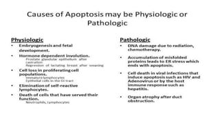 Apoptosis.pdf
