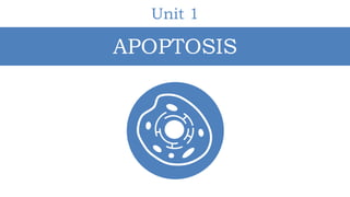 Unit 1
APOPTOSIS
 