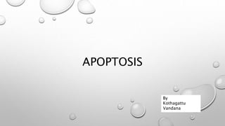 APOPTOSIS
By
Kothagattu
Vandana
 