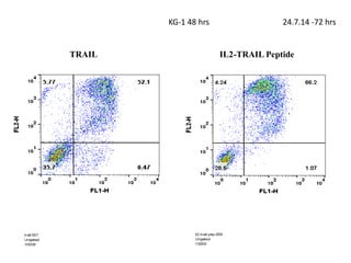 TRAIL IL2-TRAIL Peptide
KG-1 48 hrs 24.7.14 -72 hrs
 