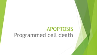APOPTOSIS
Programmed cell death
 