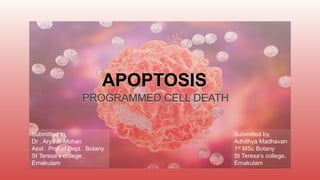 APOPTOSIS
PROGRAMMED CELL DEATH
Submitted to,
Dr . Arya P. Mohan
Asst . Prof of Dept . Botany
St Teresa’s college ,
Ernakulam
Submitted by,
Adhithya Madhavan
1st MSc Botany
St Teresa’s college,
Ernakulam
1
 