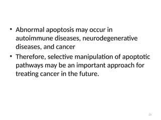 23
• Abnormal apoptosis may occur in
autoimmune diseases, neurodegenerative
diseases, and cancer
• Therefore, selective manipulation of apoptotic
pathways may be an important approach for
treating cancer in the future.
 