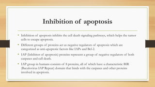 Inhibition of apoptosis
• Inhibition of apoptosis inhibits the cell death signaling pathways, which helps the tumor
cells to escape apoptosis.
• Different groups of proteins act as negative regulators of apoptosis which are
categorized as anti-apoptotic factors like IAPs and Bcl-2.
• IAP (Inhibitor of apoptosis) proteins represent a group of negative regulators of both
caspases and cell death.
• IAP group in humans consists of 8 proteins, all of which have a characteristic BIR
(Baculovirus IAP Repeat) domain that binds with the caspases and other proteins
involved in apoptosis.
 