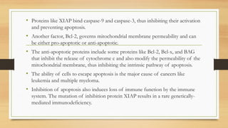 • Proteins like XIAP bind caspase-9 and caspase-3, thus inhibiting their activation
and preventing apoptosis.
• Another factor, Bcl-2, governs mitochondrial membrane permeability and can
be either pro-apoptotic or anti-apoptotic.
• The anti-apoptotic proteins include some proteins like Bcl-2, Bcl-x, and BAG
that inhibit the release of cytochrome c and also modify the permeability of the
mitochondrial membrane, thus inhibiting the intrinsic pathway of apoptosis.
• The ability of cells to escape apoptosis is the major cause of cancers like
leukemia and multiple myeloma.
• Inhibition of apoptosis also induces loss of immune function by the immune
system. The mutation of inhibition protein XIAP results in a rare genetically-
mediated immunodeficiency.
 
