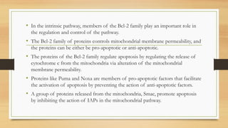 • In the intrinsic pathway, members of the Bcl-2 family play an important role in
the regulation and control of the pathway.
• The Bcl-2 family of proteins controls mitochondrial membrane permeability, and
the proteins can be either be pro-apoptotic or anti-apoptotic.
• The proteins of the Bcl-2 family regulate apoptosis by regulating the release of
cytochrome c from the mitochondria via alteration of the mitochondrial
membrane permeability.
• Proteins like Puma and Noxa are members of pro-apoptotic factors that facilitate
the activation of apoptosis by preventing the action of anti-apoptotic factors.
• A group of proteins released from the mitochondria, Smac, promote apoptosis
by inhibiting the action of IAPs in the mitochondrial pathway.
 