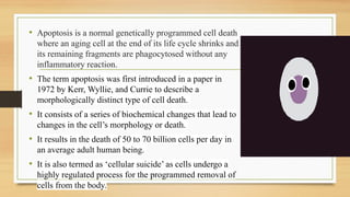 • Apoptosis is a normal genetically programmed cell death
where an aging cell at the end of its life cycle shrinks and
its remaining fragments are phagocytosed without any
inflammatory reaction.
• The term apoptosis was first introduced in a paper in
1972 by Kerr, Wyllie, and Currie to describe a
morphologically distinct type of cell death.
• It consists of a series of biochemical changes that lead to
changes in the cell’s morphology or death.
• It results in the death of 50 to 70 billion cells per day in
an average adult human being.
• It is also termed as ‘cellular suicide’ as cells undergo a
highly regulated process for the programmed removal of
cells from the body.
 