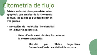Citometría de flujo
Existen varias técnicas para determinar
apoptosis con empleo de la citometría
de flujo, las cuales se pueden dividir en
tres grupos:
• Detección de moléculas involucradas
en la muerte apoptótica.
• Detección de moléculas involucradas en
la muerte apoptótica.
• Movidas por células fagocíticas.
Determinación de la actividad de caspasa
 