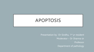 APOPTOSIS
Presentation by -Dr Sindhu, 1st yr resident
Moderator – Dr Sharma sir
Professor
Department of pathology
 