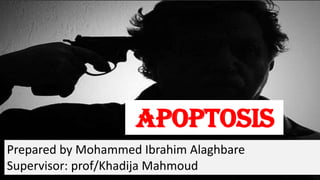 Apoptosis
Prepared by Mohammed Ibrahim Alaghbare
Supervisor: prof/Khadija Mahmoud
 