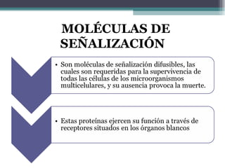 MOLÉCULAS DE SEÑALIZACIÓN 