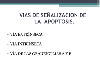 VIAS DE SEÑALIZACIÓN DE    LA  APOPTOSIS . VÍA EXTRÍNSECA. VÍA INTRÍNSECA. VÍA DE LAS GRANENZIMAS A Y B. 