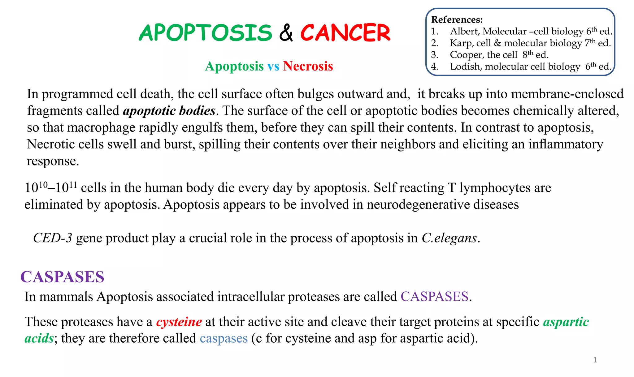 Apoptosis and CANCER biology 2020.pdf