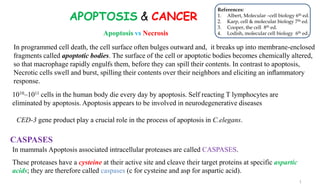 Apoptosis and CANCER biology 2020.pdf