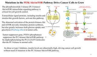 Mutations in the PI3K/Akt/mTOR Pathway Drive Cancer Cells to Grow
The phosphoinositide 3-kinase (PI 3 kinase)/
Akt/mTOR in...