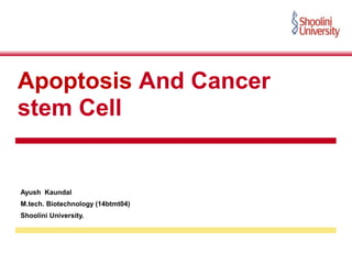 Apoptosis And Cancer
stem Cell
Ayush Kaundal
M.tech. Biotechnology (14btmt04)
Shoolini University.
 