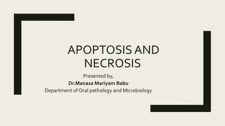 APOPTOSIS AND NECROSIS.pptx
