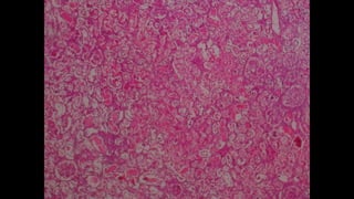 APOPTOSIS AND NECROSIS OF THE HUMAN BODY.pdf