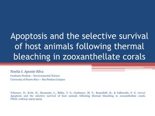 Apoptosis and the selective survival
 of host animals following thermal
 bleaching in zooxanthellate corals
Noelia I. Aponte Silva
Graduate Student – Environmental Science
University of Puerto Rico – Rio Piedras Campus




Tchernov, D., Kvitt, H., Haramaty, L., Bibby, T. S., Gorbunov, M. Y., Rosenfeld, H., & Falkowski, P. G. (2011).
Apoptosis and the selective survival of host animals following thermal bleaching in zooxanthellate corals.
PNAS, 108(24), 9905-9909.
 
