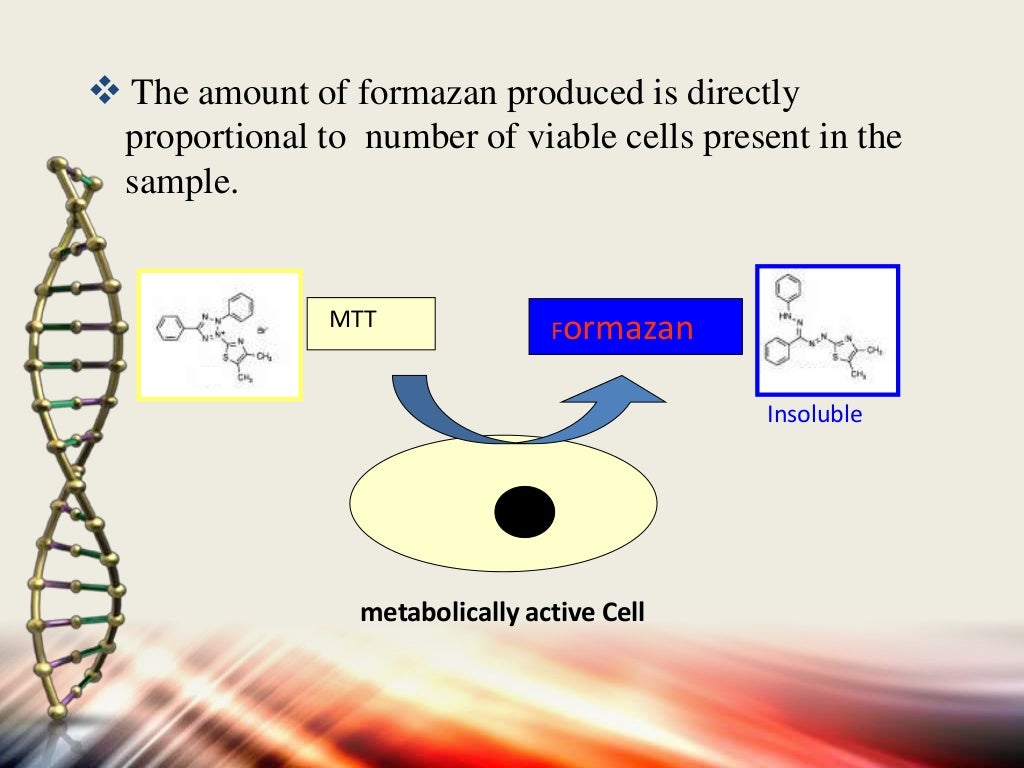 Apoptosis assays detection and methods