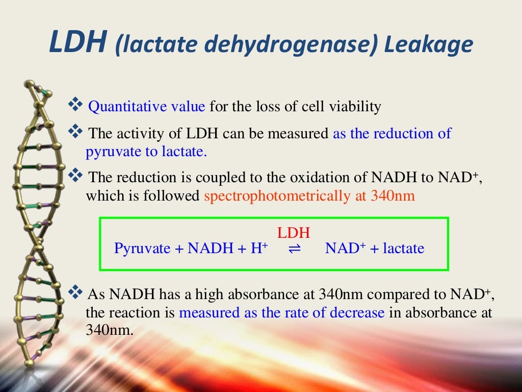 Apoptosis assays detection and methods