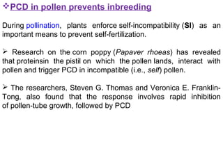 PCD in pollen prevents inbreeding
During pollination, plants enforce self-incompatibility (SI) as an
important means to prevent self-fertilization.
 Research on the corn poppy (Papaver rhoeas) has revealed
that proteinsin the pistil on which the pollen lands, interact with
pollen and trigger PCD in incompatible (i.e., self) pollen.
 The researchers, Steven G. Thomas and Veronica E. Franklin-
Tong, also found that the response involves rapid inhibition
of pollen-tube growth, followed by PCD
 