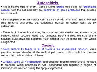 Autoschizis
• It is a bizarre type of death. Cells develop crates inside and cell organelles
escape from the cell and they are destroyed by some proteases that develop
inside the cell.
• This happens when cancerous cells are treated with Vitamin-C and K. Normal
cells remains unaffected, but substantial number of cancer cells die by
autoschizis.
• There is diminution in cell size, the nuclei become smaller and contain large
nucleoli, which become round and compact. Before it dies, the size of the
resultant autoschizic cell becomes much smaller than the tumor cell from which
it originated.
Oncosis
• Cells expand by taking in lot of water in an uncontrolled manner. Soon
proteins become denatured like cooked yolk proteins, then cells take excess
calcium into cells and death follows.
• Oncosis being ATP independent and does not require mitochondrial function
to proceed. While apoptosis is ATP dependent and requires a degree of
mitochondrial function during the apoptotic process.
 