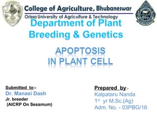 Prepared by:-
Kalpataru Nanda
1st
yr M.Sc.(Ag)
Adm. No. - 03PBG/16
Submitted to:-
Dr. Manasi Dash
Jr. breeder
(AICRP On Sesamum)
 
