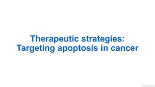 Therapeutic strategies:
Targeting apoptosis in cancer
Last updated: September 2020
 