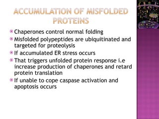  Chaperones control normal folding
 Misfolded polypeptides are ubiquitinated and
targeted for proteolysis
 If accumulated ER stress occurs
 That triggers unfolded protein response i.e
increase production of chaperones and retard
protein translation
 If unable to cope caspase activation and
apoptosis occurs
 