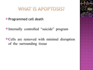  Programmed cell death
 Internally controlled “suicide” program
 Cells are removed with minimal disruption
of the surrounding tissue
 