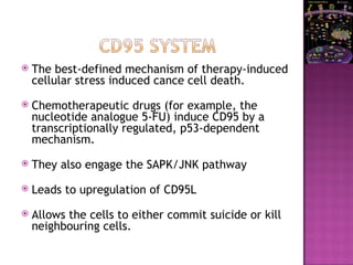  The best-defined mechanism of therapy-induced
cellular stress induced cance cell death.
 Chemotherapeutic drugs (for example, the
nucleotide analogue 5-FU) induce CD95 by a
transcriptionally regulated, p53-dependent
mechanism.
 They also engage the SAPK/JNK pathway
 Leads to upregulation of CD95L
 Allows the cells to either commit suicide or kill
neighbouring cells.
 