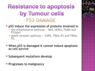 p53 induce the expression of proteins involved in
 the mitochondrial pathway — BAX, NOXA, PUMA and
P53aip1
 death receptor pathway — CD95, TRAIL-R1 and TRAIL-
R2.
 When p53 is damaged it cannot induce apoptosis
so cell survive
 Subsequent mutations develop
 Progresses to malignancy
 
