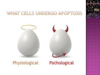 Pathological
Physiological
 
