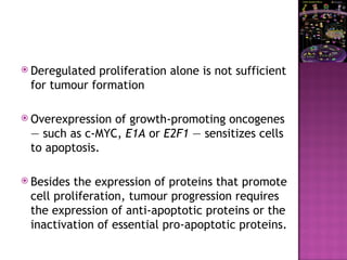 Deregulated proliferation alone is not sufficient
for tumour formation
 Overexpression of growth-promoting oncogenes
— such as c-MYC, E1A or E2F1 — sensitizes cells
to apoptosis.
 Besides the expression of proteins that promote
cell proliferation, tumour progression requires
the expression of anti-apoptotic proteins or the
inactivation of essential pro-apoptotic proteins.
 