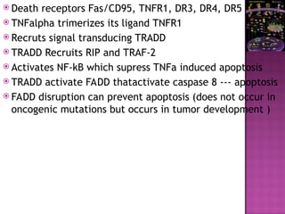  Death receptors Fas/CD95, TNFR1, DR3, DR4, DR5
 TNFalpha trimerizes its ligand TNFR1
 Recruts signal transducing TRADD
 TRADD Recruits RIP and TRAF-2
 Activates NF-kB which supress TNFa induced apoptosis
 TRADD activate FADD thatactivate caspase 8 --- apoptosis
 FADD disruption can prevent apoptosis (does not occur in
oncogenic mutations but occurs in tumor development )
 