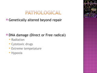  Genetically altered beyond repair
 DNA damage (Direct or Free radical)
 Radiation
 Cytotoxic drugs
 Extreme tempetature
 Hypoxia
 