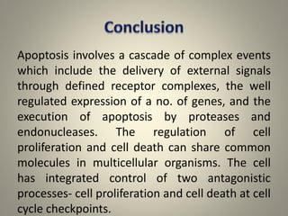 APOPTOSIS : The programmed cell death | PPTX