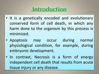 APOPTOSIS : The programmed cell death | PPTX