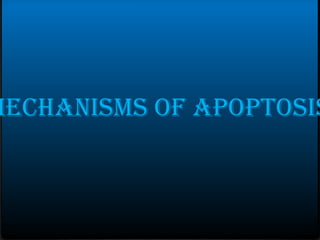 MECHANISMS OF APOPTOSIS
 