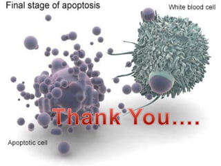 apoptosisII.pdf