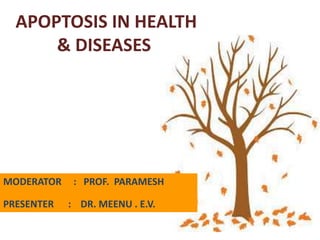 APOPTOSIS IN HEALTH
& DISEASES
MODERATOR : PROF. PARAMESH
PRESENTER : DR. MEENU . E.V.
 