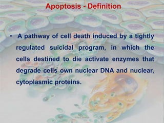 Apoptosis - Definition
• A pathway of cell death induced by a tightly
regulated suicidal program, in which the
cells desti...