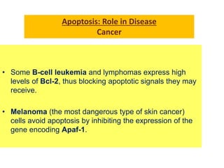 – Cancer cells
• Radiation and chemicals used in cancer therapy induce apoptosis
in some types of cancer cells.
sclero din...