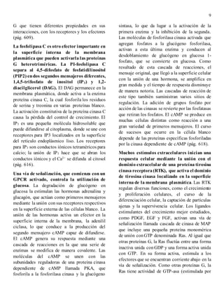 9
G que tienen diferentes propiedades en sus
interacciones, con los receptores y los efectores
(pág. 609).
La fosfolipasa C es otro efector importante en
la superficie interna de la membrana
plasmática que pueden activarla las proteínas
G heterotriméricas. La PI-fosfolipasa C
separa al 4,5-difosfato de fosfatidilinositol
(PIP2) endos segundos mensajeros diferentes,
1,4,5-trifosfato de inositol (IP3) y 1,2-
diacilglicerol (DAG). El DAG permanece en la
membrana plasmática, donde activa a la enzima
proteína cinasa C, la cual fosforila los residuos
de serina y treonina en varias proteínas blanco.
La activación constitutiva de la proteína cinasa C
causa la pérdida del control de crecimiento. El
IP3 es una pequeña molécula hidrosoluble que
puede difundirse al citoplasma, donde se une con
receptores para IP3 localizados en la superficie
del retículo endoplásmico liso. Los receptores
para IP3 son conductos iónicos tetraméricos para
calcio; la unión de IP3 hace que se abran los
conductos iónicos y el Ca2+ se difunda al citosol
(pág. 616).
Una vía de señalización, que comienza con un
GPCR activado, controla la utilización de
glucosa. La degradación de glucógeno en
glucosa la estimulan las hormonas adrenalina y
glucagón, que actúan como primeros mensajeros
mediante la unión con sus receptores respectivos
en la superficie externa de las células blanco. La
unión de las hormonas activa un efector en la
superficie interna de la membrana, la adenilil
ciclasa, lo que conduce a la producción del
segundo mensajero cAMP capaz de difundirse.
El cAMP genera su respuesta mediante una
cascada de reacciones en la que una serie de
enzimas se modifica de manera covalente. Las
moléculas del cAMP se unen con las
subunidades reguladoras de una proteína cinasa
dependiente de cAMP llamada PKA, que
fosforila a la fosforilasa cinasa y la glucógeno
sintasa, lo que da lugar a la activación de la
primera enzima y la inhibición de la segunda.
Las moléculas de fosforilasa cinasa activada que
agregan fosfatos a la glucógeno fosforilasa,
activan a esta última enzima y conducen al
desdoblamiento de glucógeno en glucosa 1-
fosfato, que se convierte en glucosa. Como
resultado de esta cascada de reacciones, el
mensaje original, que llegó a la superficie celular
con la unión de una hormona, se amplifica en
gran medida y el tiempo de respuesta disminuye
de manera notoria. Las cascadas de reacción de
este tipo también suministran varios sitios de
regulación. La adición de grupos fosfato por
acción de las cinasas se revierte por las fosfatasas
que retiran los fosfatos. El cAMP se produce en
muchas células distintas como reacción a una
gran variedad de primeros mensajeros. El curso
de sucesos que ocurre en la célula blanco
depende de las proteínas específicas fosforiladas
por la cinasa dependiente de cAMP (pág. 618).
Muchos estímulos extracelulares inician una
respuesta celular mediante la unión con el
dominio extracelular de una proteína tirosina
cinasa receptora(RTK), que activa el dominio
de tirosina cinasa localizado en la superficie
interna de la membrana plasmática. Las RTK
regulan diversas funciones, como el crecimiento
y proliferación celulares, el curso de la
diferenciación celular, la captación de partículas
ajenas y la supervivencia celular. Los ligandos
estimulantes del crecimiento mejor estudiados,
como PDGF, EGF y FGF, activan una vía de
señalización llamada cascada de cinasa de MAP
que incluye una pequeña proteína monomérica
de unión conGTP denominada Ras. Al igual que
otras proteínas G, la Ras fluctúa entre una forma
inactiva unida conGDP y una forma activa unida
con GTP. En su forma activa, estimula a los
efectores que se encuentran corriente abajo en la
vía de señalización. Como otras proteínas G, la
Ras tiene actividad de GTP-asa (estimulada por
 