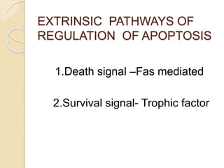EXTRINSIC PATHWAYS OF
REGULATION OF APOPTOSIS
1.Death signal –Fas mediated
2.Survival signal- Trophic factor
 