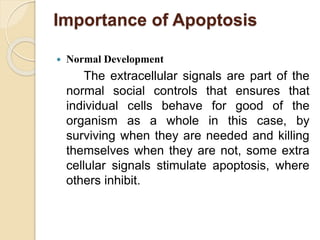 Importance of Apoptosis
 Normal Development
The extracellular signals are part of the
normal social controls that ensures that
individual cells behave for good of the
organism as a whole in this case, by
surviving when they are needed and killing
themselves when they are not, some extra
cellular signals stimulate apoptosis, where
others inhibit.
 