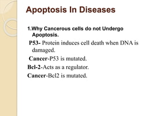 Apoptosis In Diseases
1.Why Cancerous cells do not Undergo
Apoptosis.
P53- Protein induces cell death when DNA is
damaged.
Cancer-P53 is mutated.
Bcl-2-Acts as a regulator.
Cancer-Bcl2 is mutated.
 