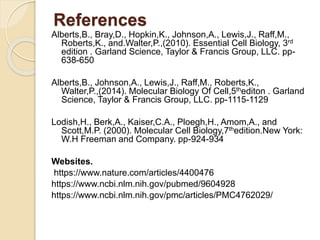 References
Alberts,B., Bray,D., Hopkin,K., Johnson,A., Lewis,J., Raff,M.,
Roberts,K., and.Walter,P.,(2010). Essential Cell Biology, 3rd
edition . Garland Science, Taylor & Francis Group, LLC. pp-
638-650
Alberts,B., Johnson,A., Lewis,J., Raff,M., Roberts,K.,
Walter,P.,(2014). Molecular Biology Of Cell,5thediton . Garland
Science, Taylor & Francis Group, LLC. pp-1115-1129
Lodish,H., Berk,A., Kaiser,C.A., Ploegh,H., Amom,A., and
Scott,M.P. (2000). Molecular Cell Biology,7thedition.New York:
W.H Freeman and Company. pp-924-934
Websites.
https://www.nature.com/articles/4400476
https://www.ncbi.nlm.nih.gov/pubmed/9604928
https://www.ncbi.nlm.nih.gov/pmc/articles/PMC4762029/
 
