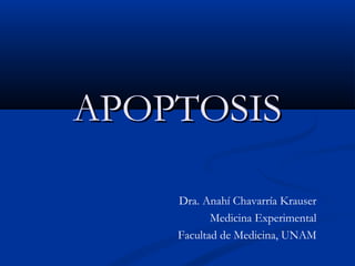 APOPTOSIS
Dra. Anahí Chavarría Krauser
Medicina Experimental
Facultad de Medicina, UNAM

 